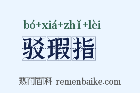 驳瑕指颣是什么意思的图片
